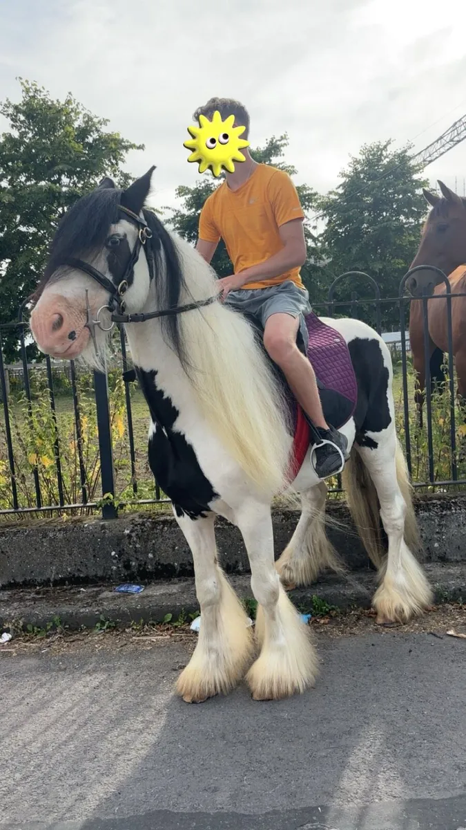 13,1 kids pony 🤩 - Image 1