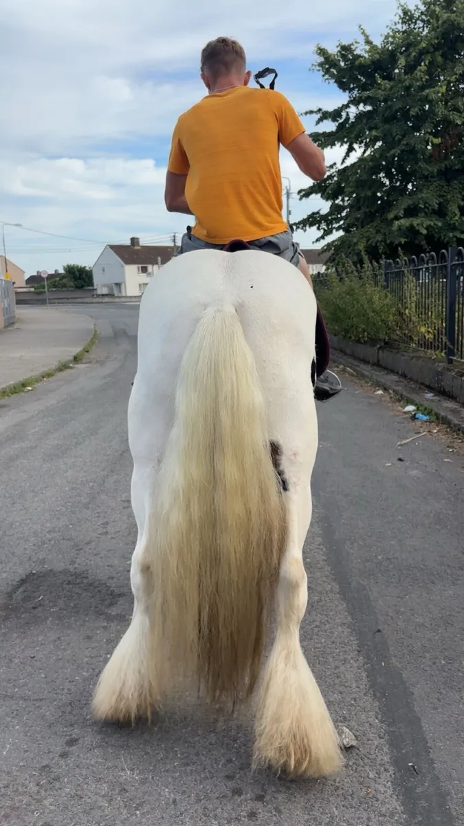 13,1 kids pony 🤩 - Image 2