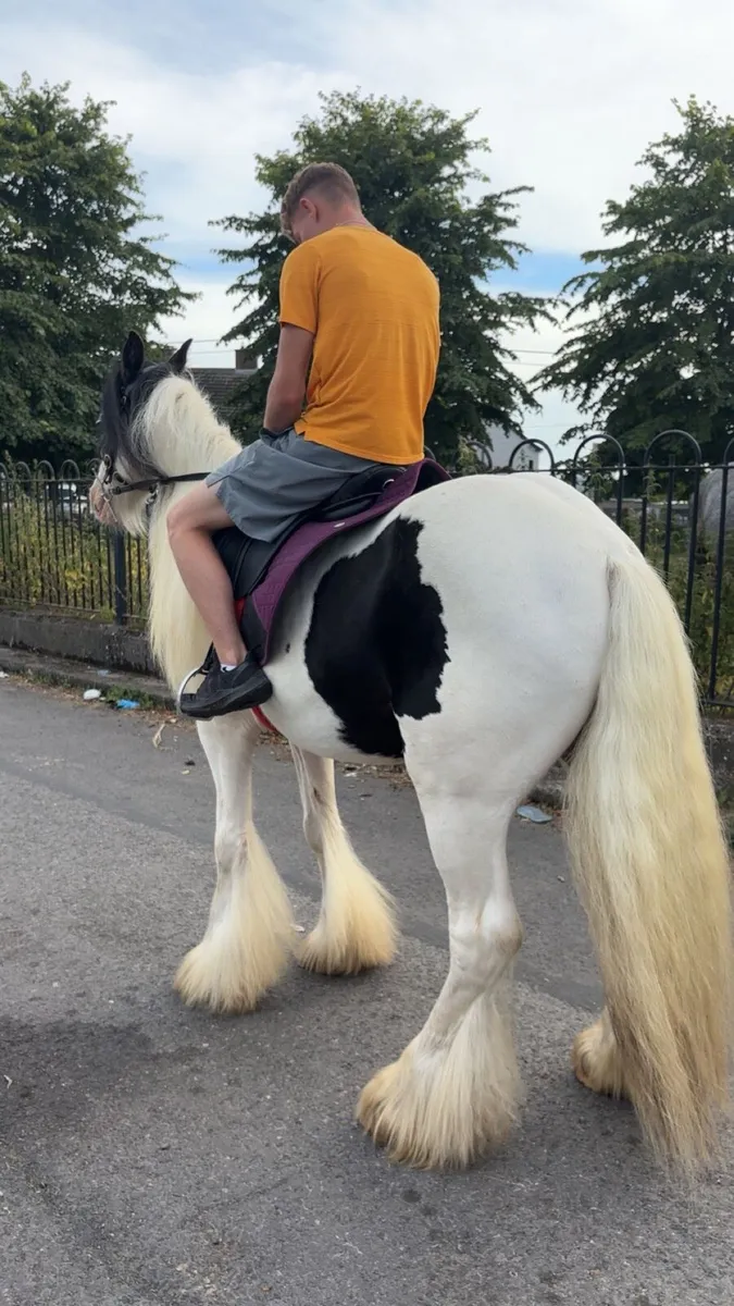 13,1 kids pony 🤩 - Image 3