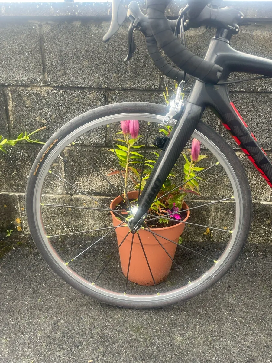 Giant TCR Advanced SL bike, Mavic R-SYS Wheels - Image 2