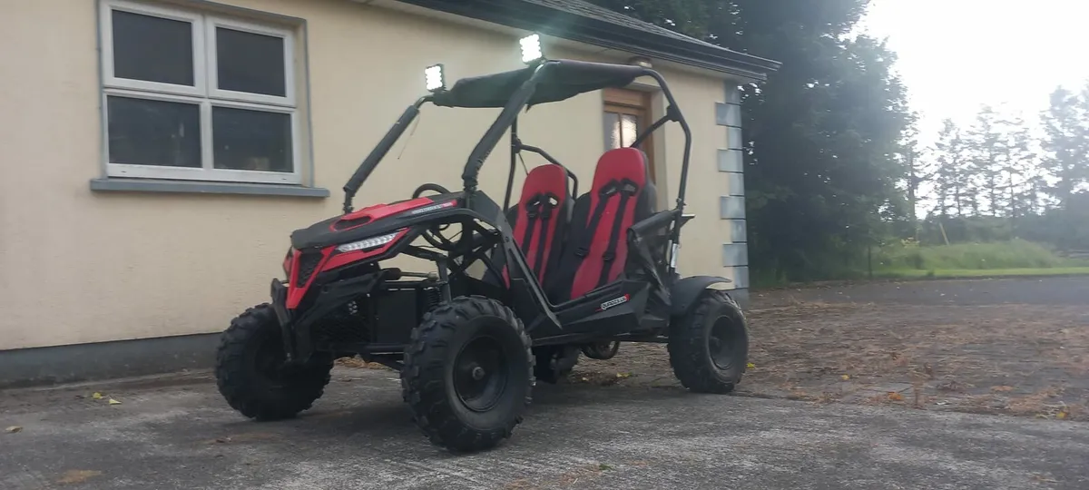 Quadzilla Stingray 210 buggy - Image 1
