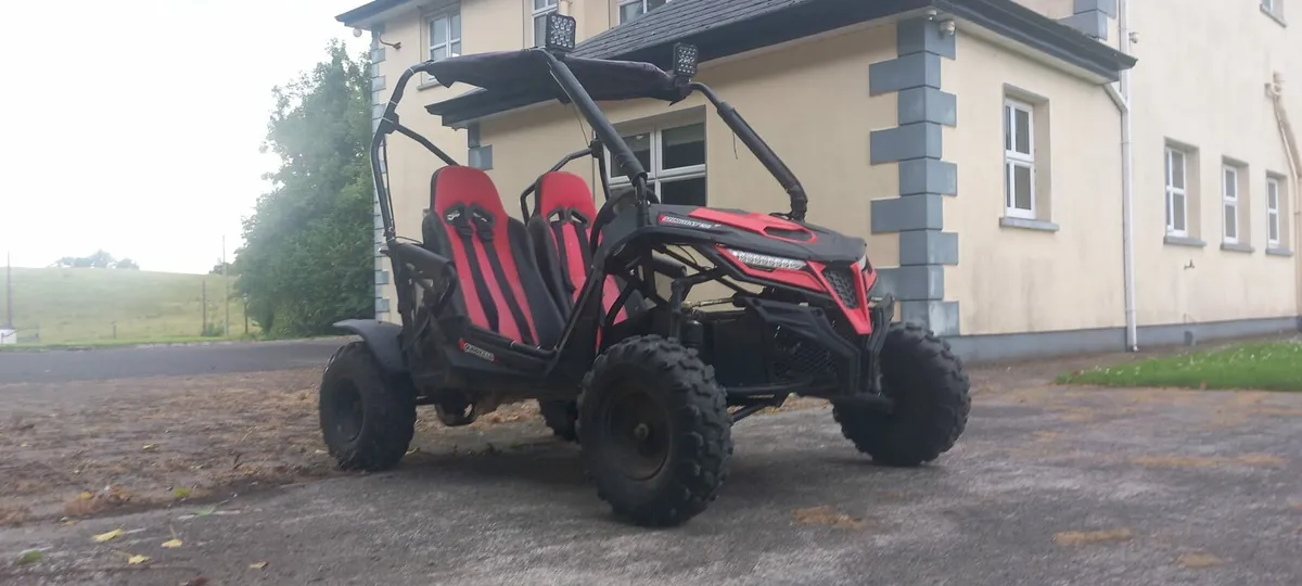 Quadzilla Stingray 210 buggy - Image 3