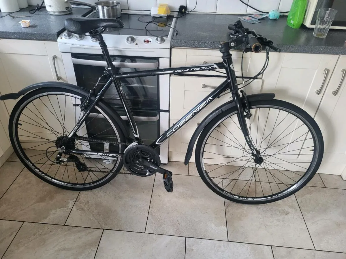Hybrid bike - Image 1