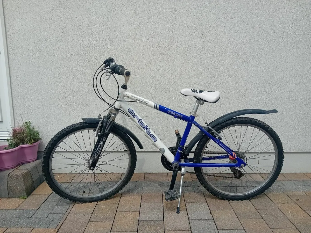 Bike - Image 1