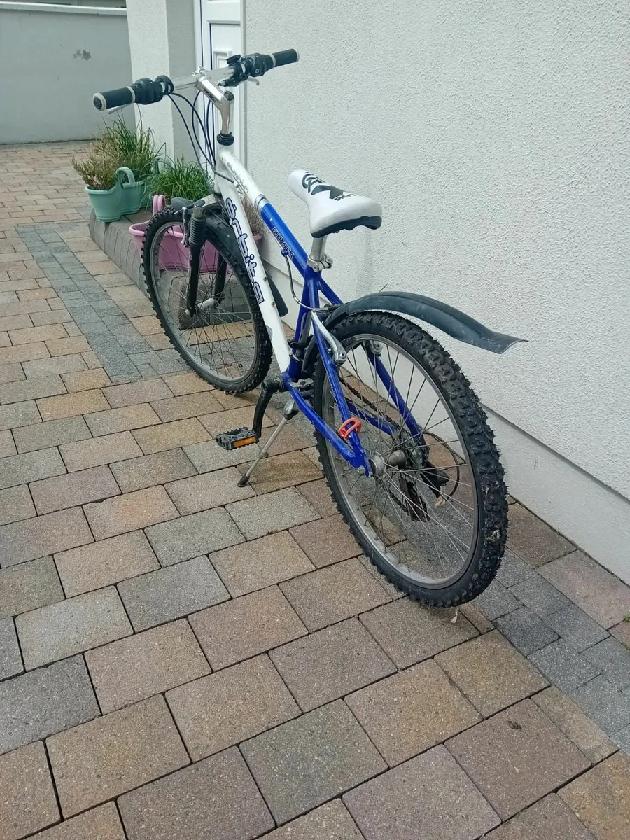 Bike - Image 2