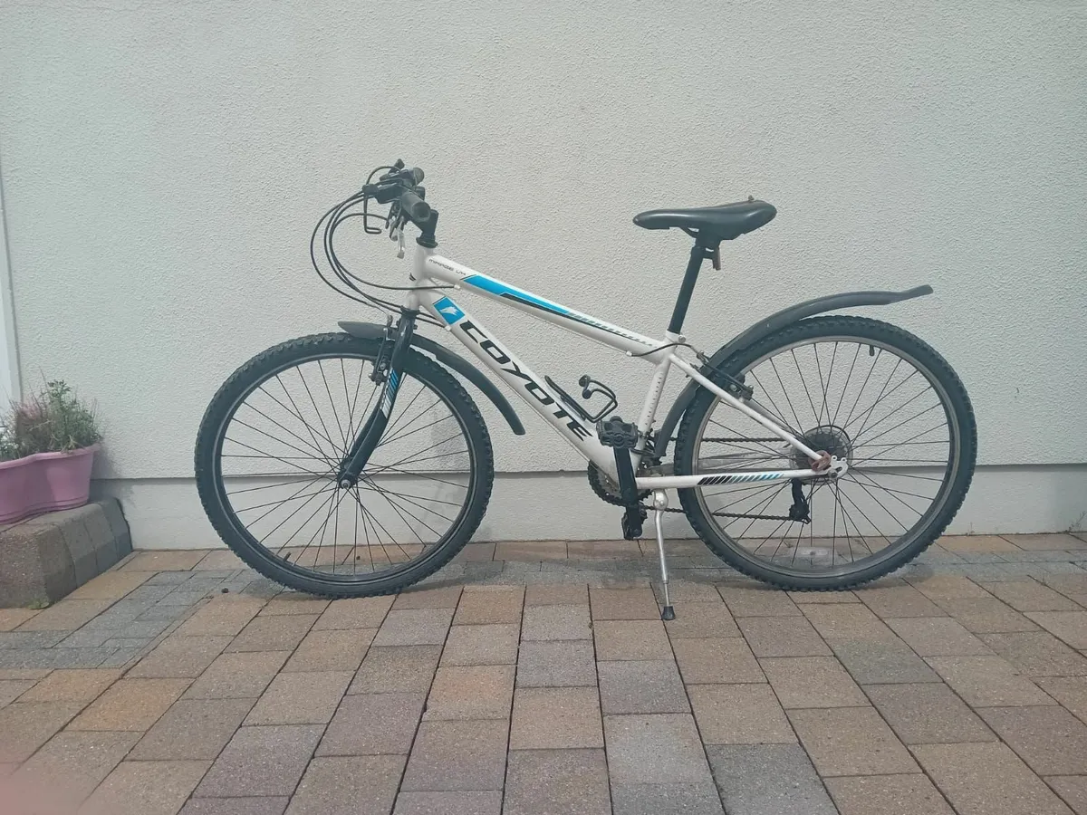 Bike - Image 1
