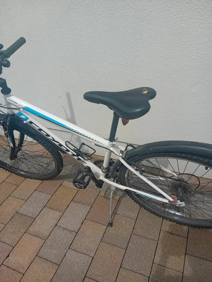 Bike - Image 2