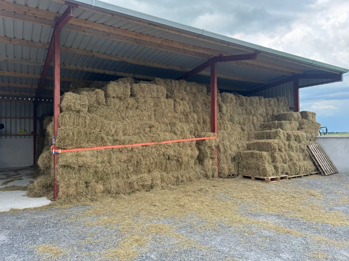 Square Bales 4.50 Each - Image 1