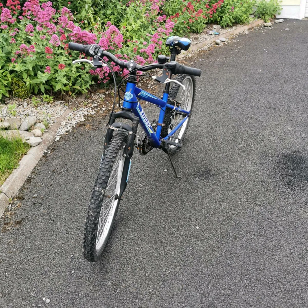Edgar Edge 24 inch kids bike - Image 2