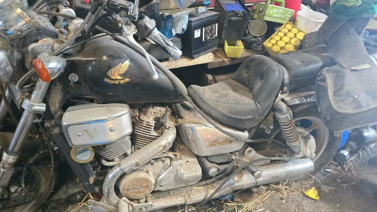 Honda shadow - Image 2