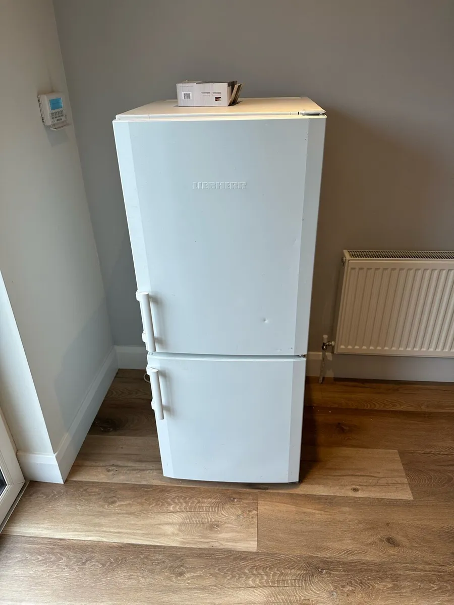 Fridge - Image 1