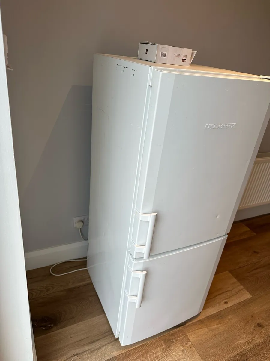 Fridge - Image 2