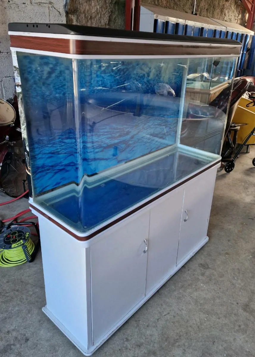 Fishtank - Image 2