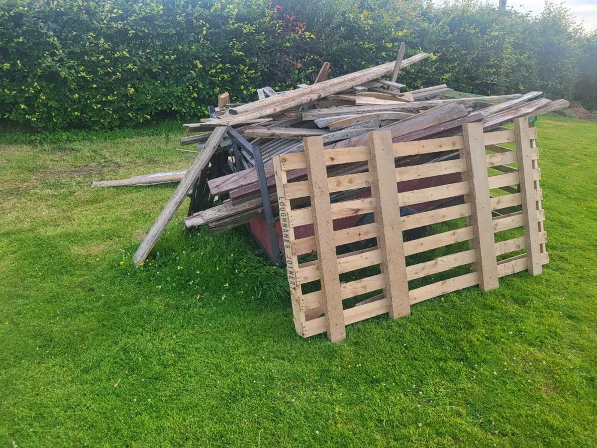 Kindling wood - Image 1