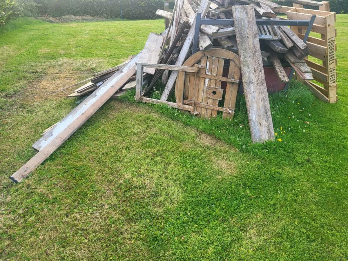 Kindling wood - Image 2