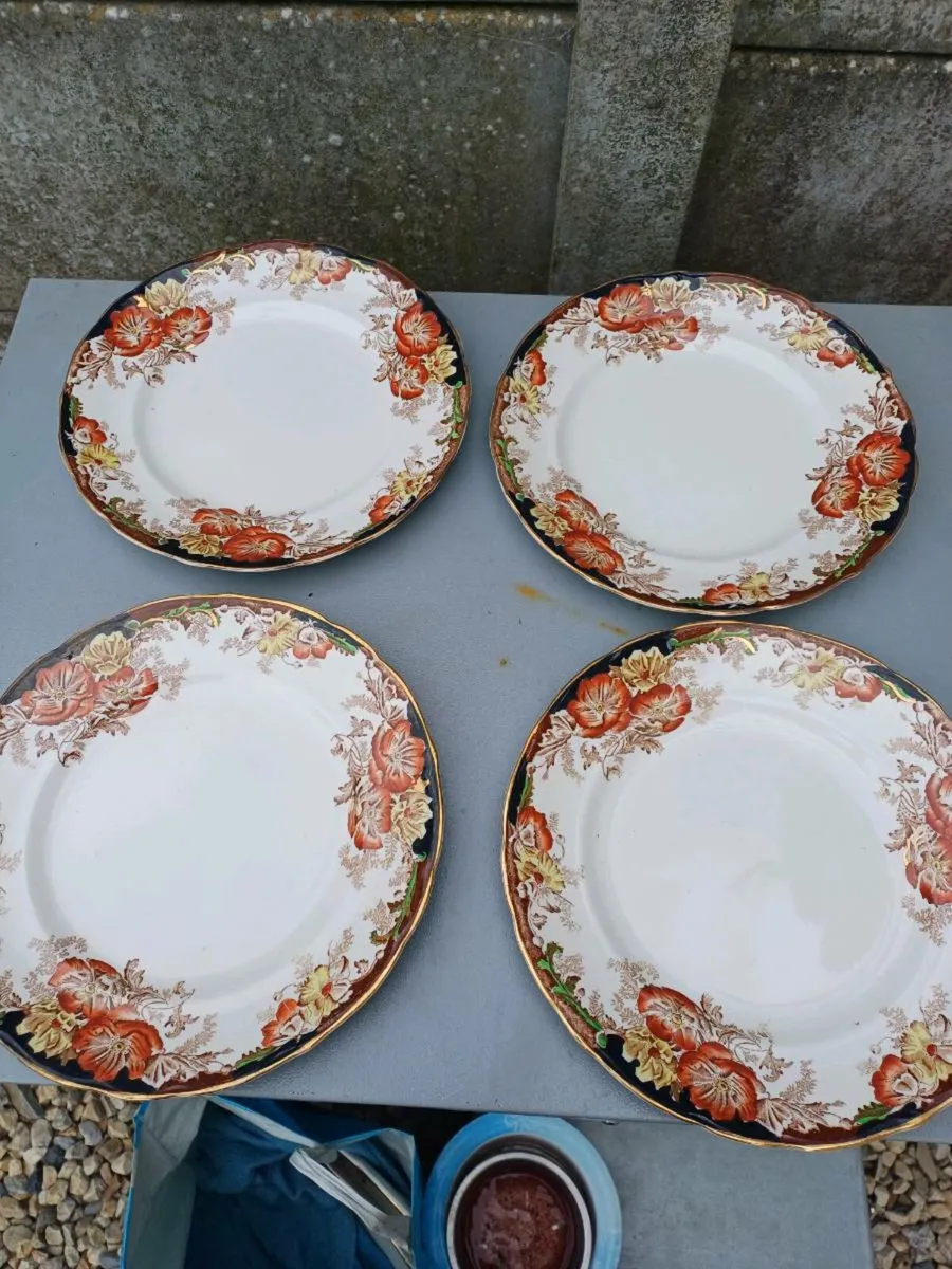 Antique Ceramic Dinner Plates - Image 1