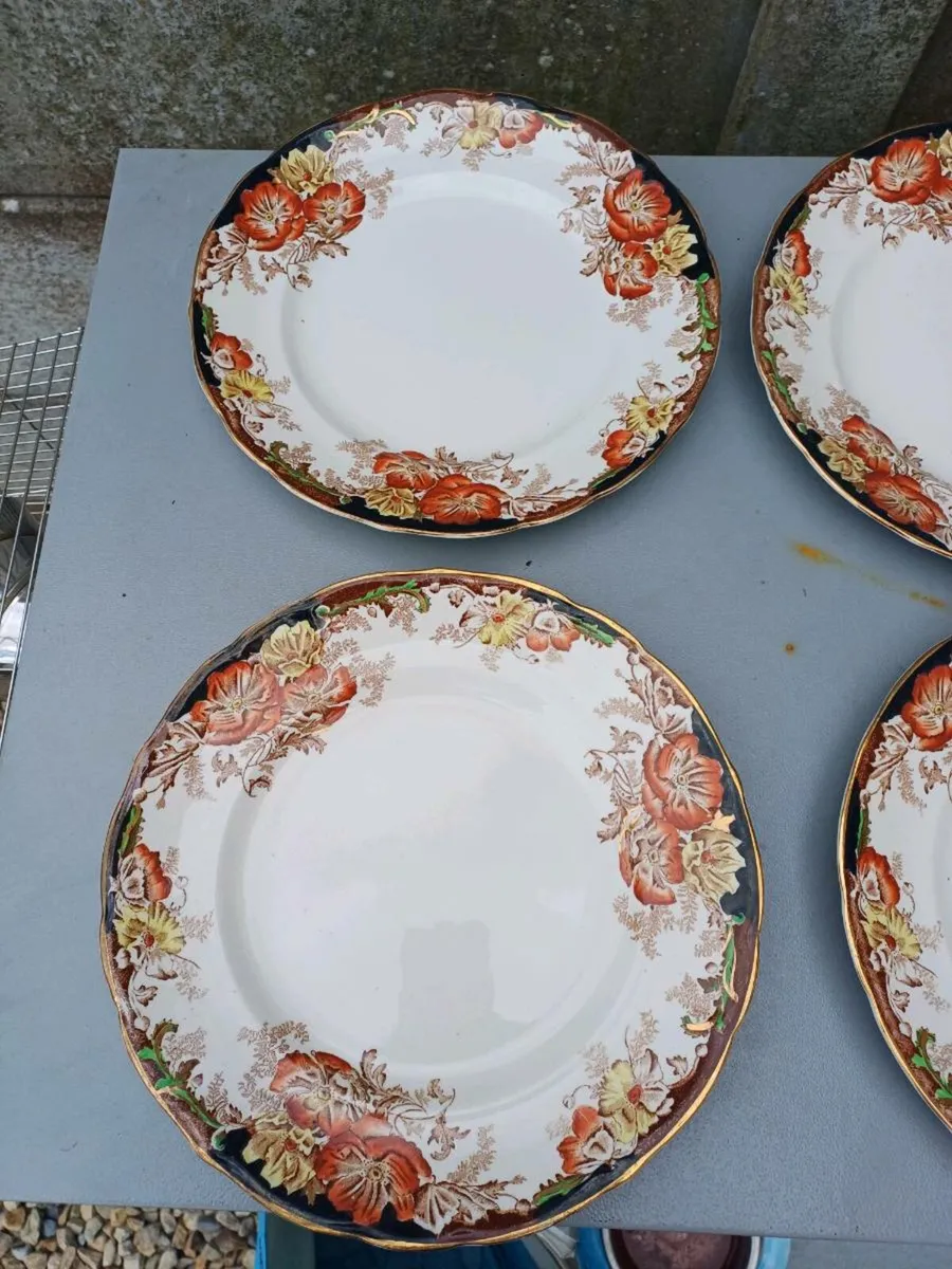 Antique Ceramic Dinner Plates - Image 2