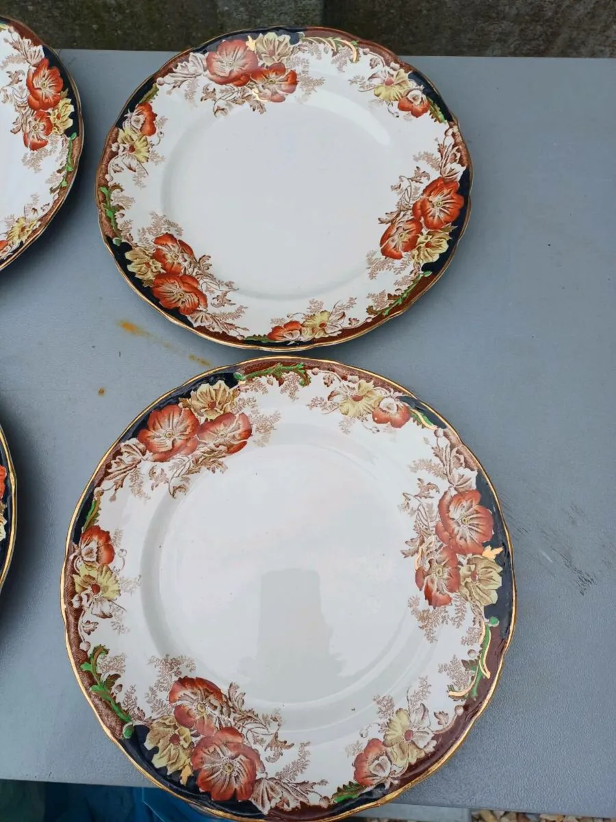 Antique Ceramic Dinner Plates - Image 3