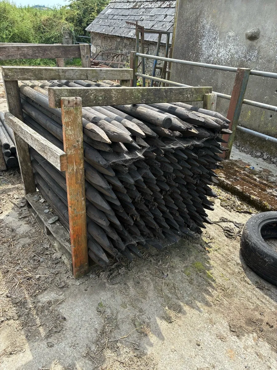 Stakes - Image 1