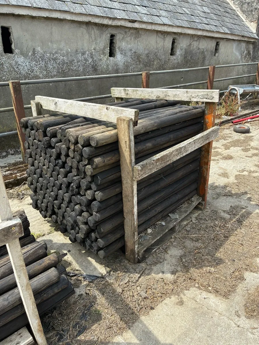 Stakes - Image 2