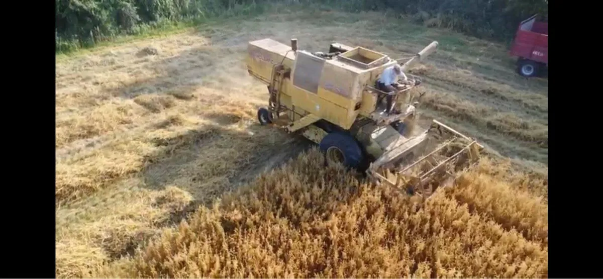 New Holland Clayson 133 - Image 1