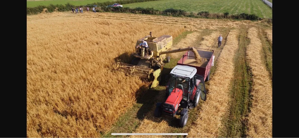 New Holland Clayson 133 - Image 2