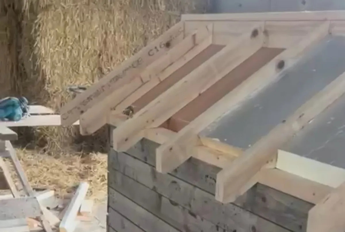 Handcrafted bespoke dog house - Image 3