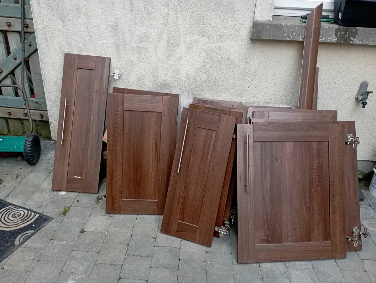 Kitchen doors - Image 1
