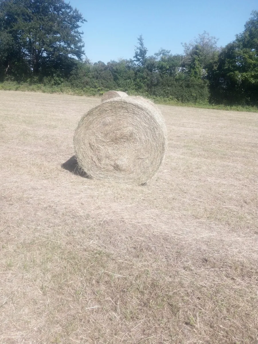 Organic Hay