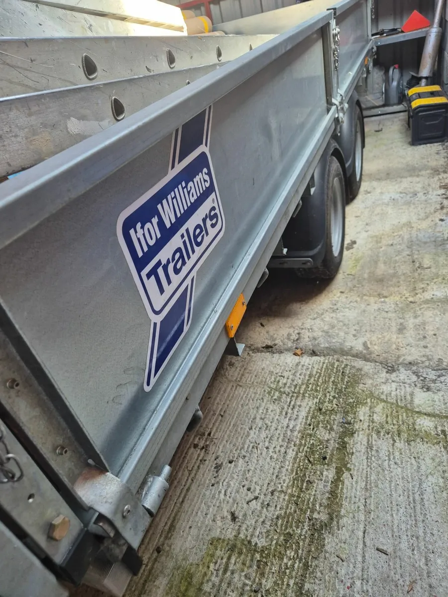 Ifor williams trailer - Image 1