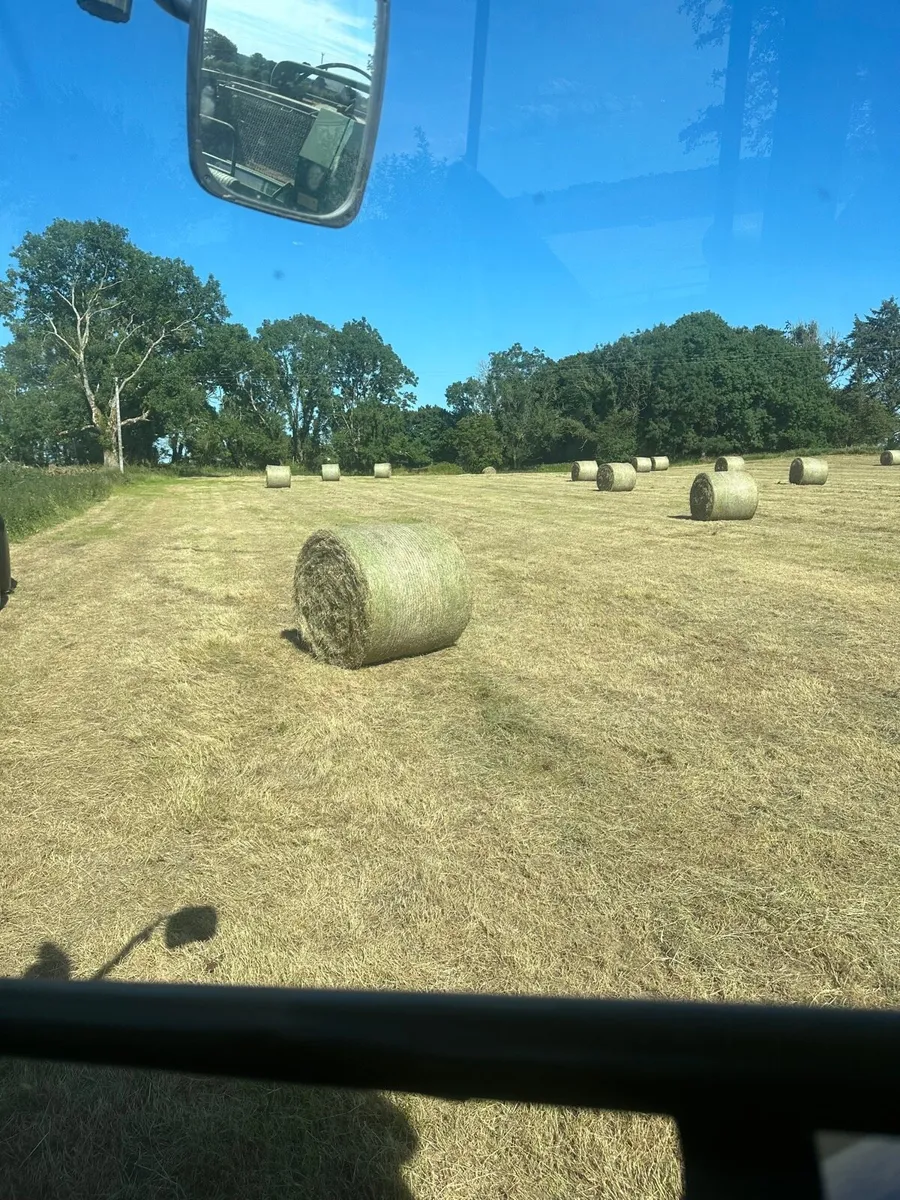 Hay - Image 2