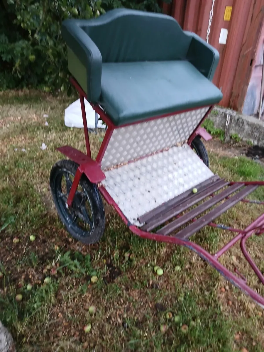 Horse road  cart - Image 1