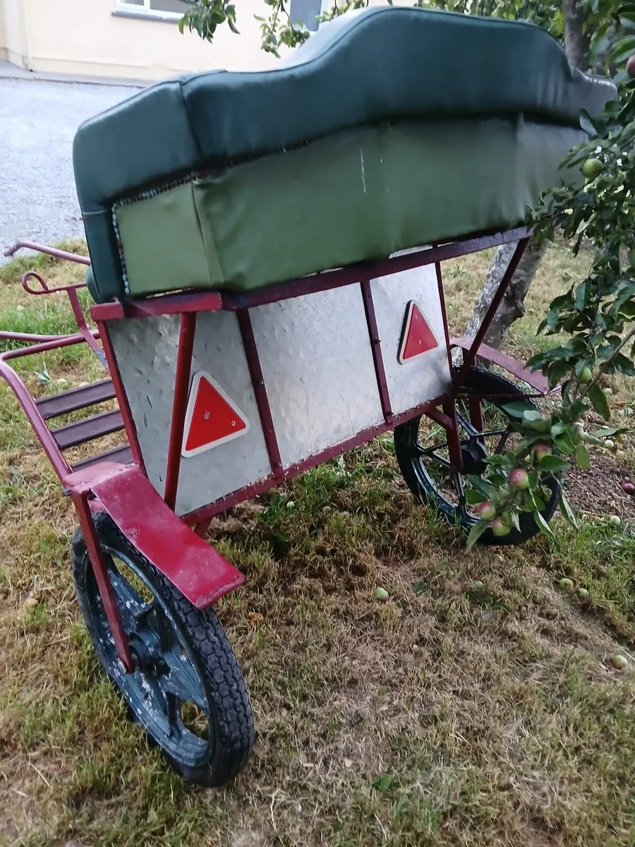 Horse road  cart - Image 2