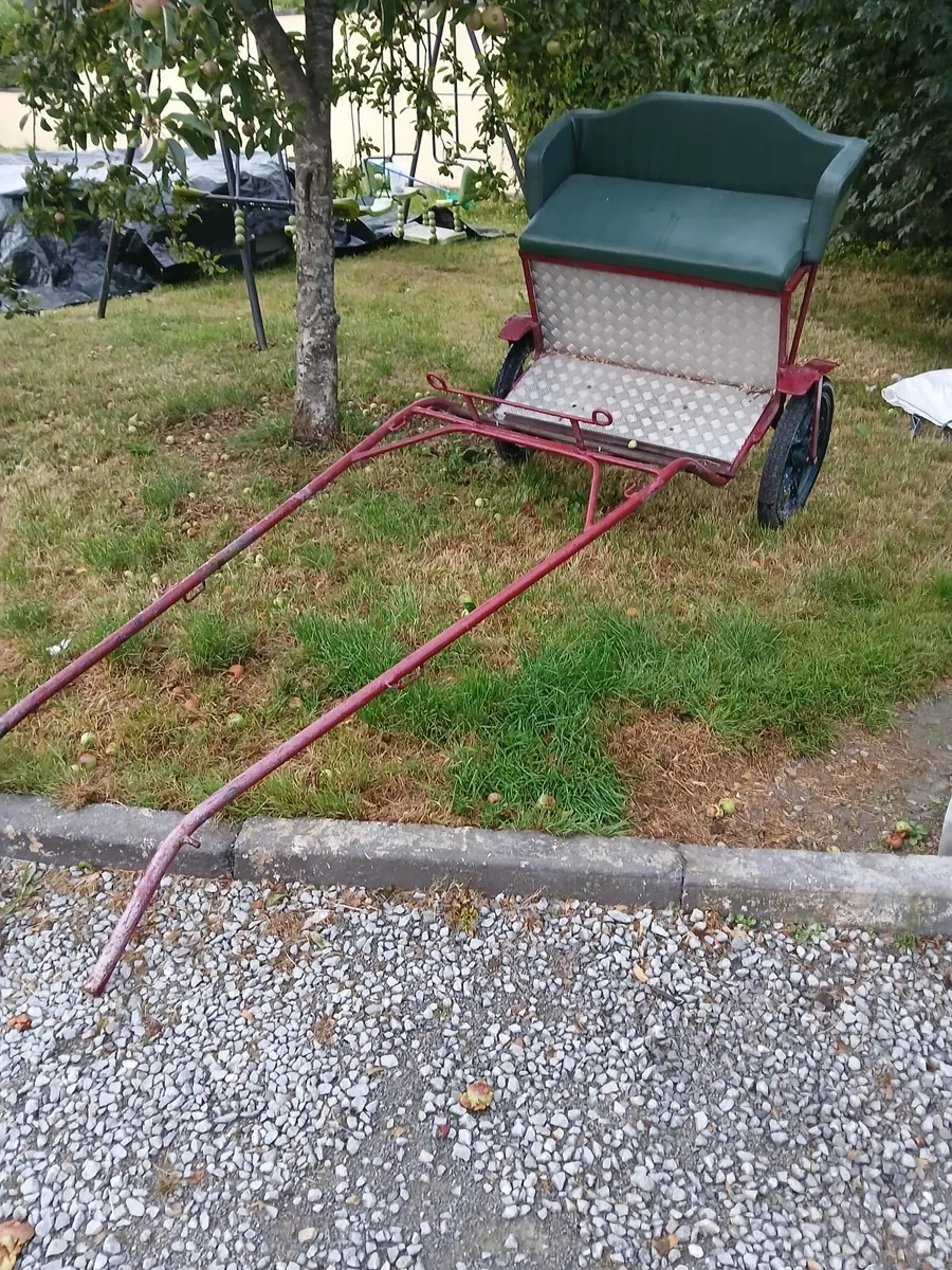 Horse road  cart - Image 4