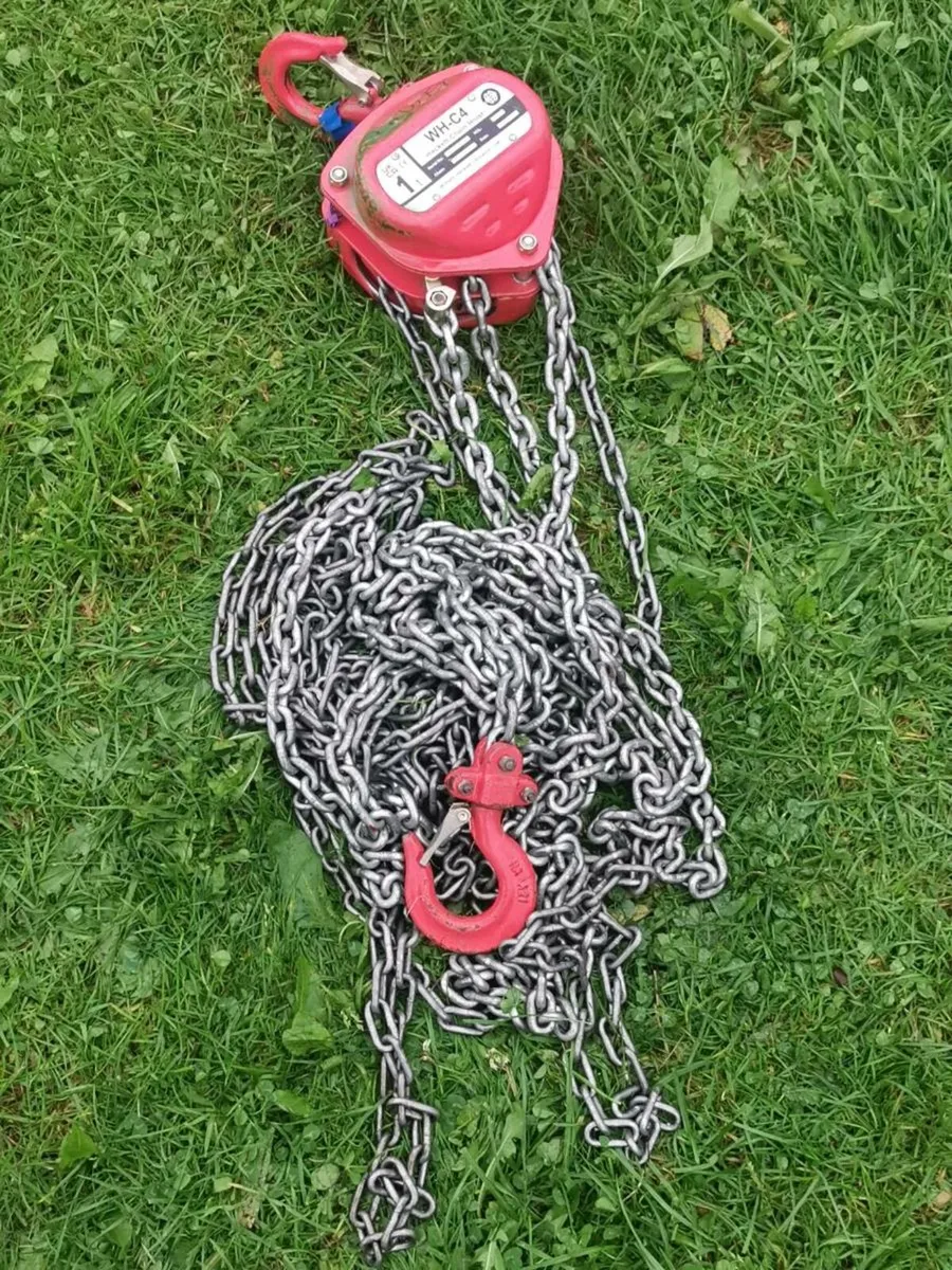 Hackett Chain hoist - Image 3