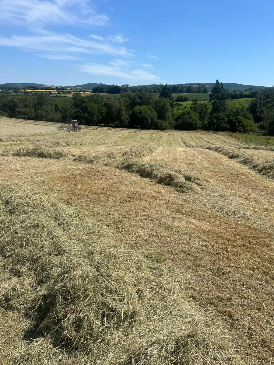 Silage/haylage/hay - Image 4