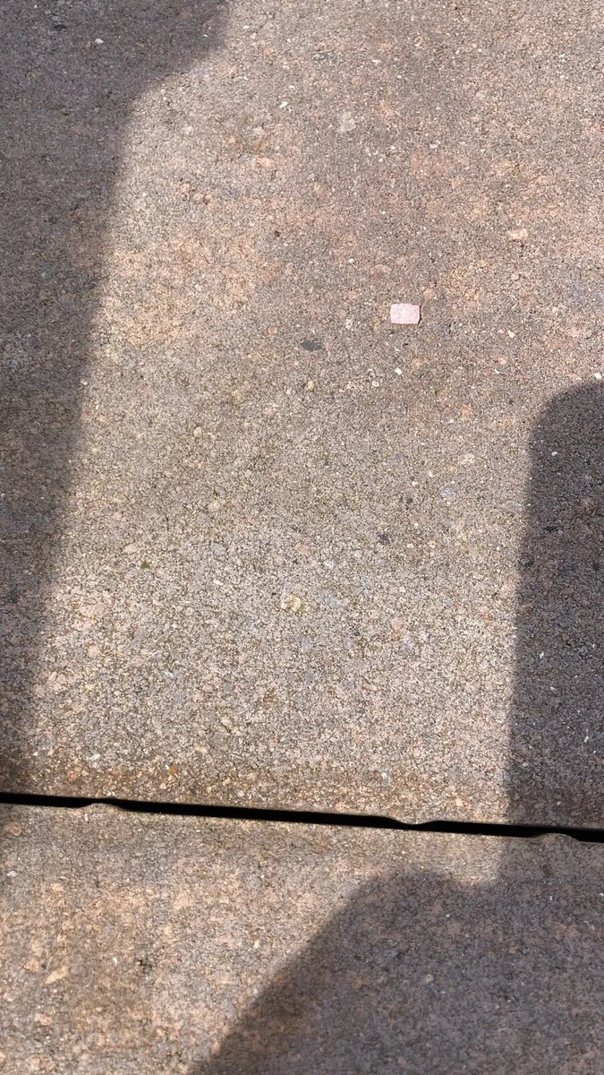 Paving slab - Image 1