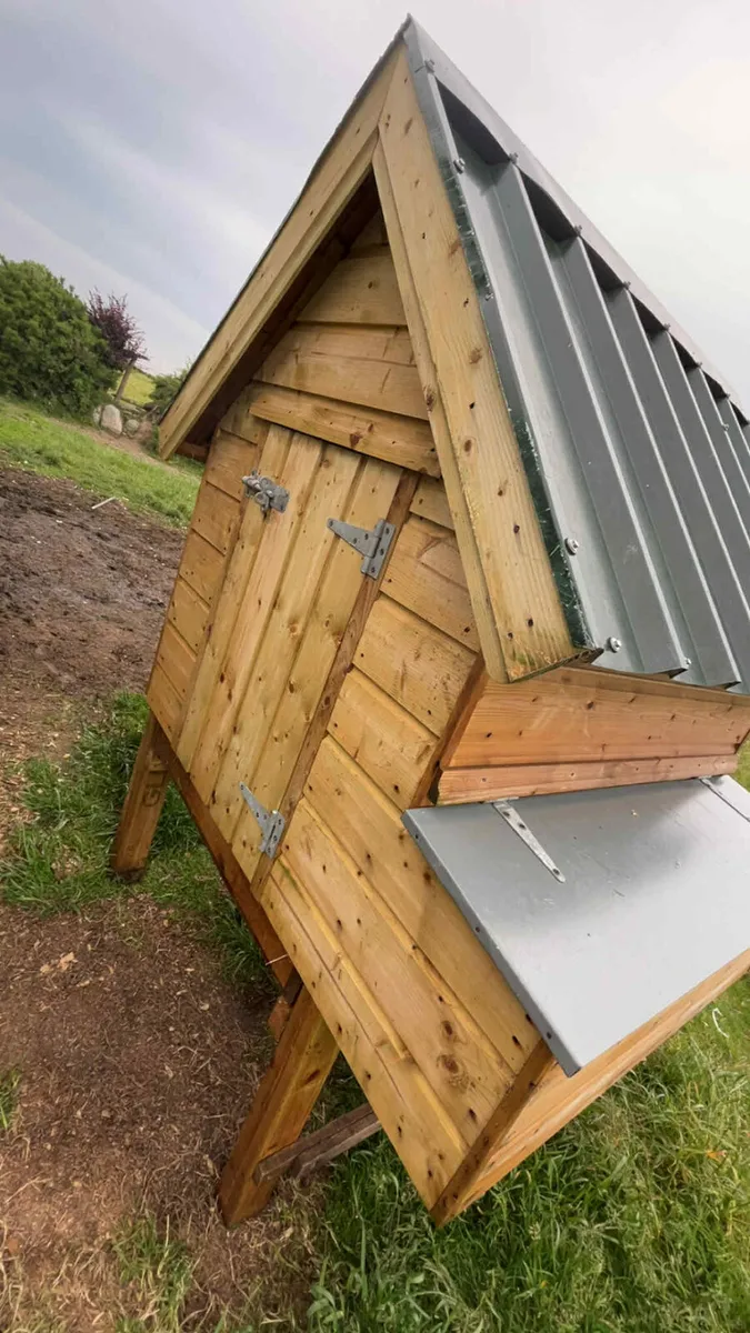 Large chicken coop - Image 2