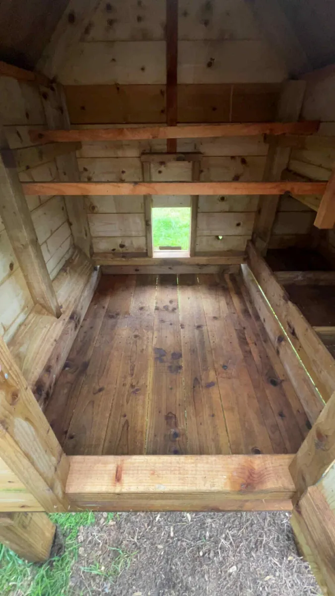 Large chicken coop - Image 4
