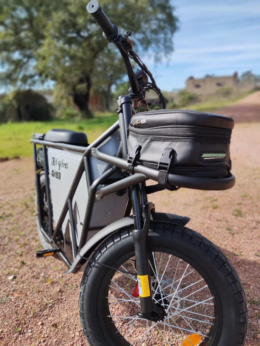 Electric Cargo bike - Image 2