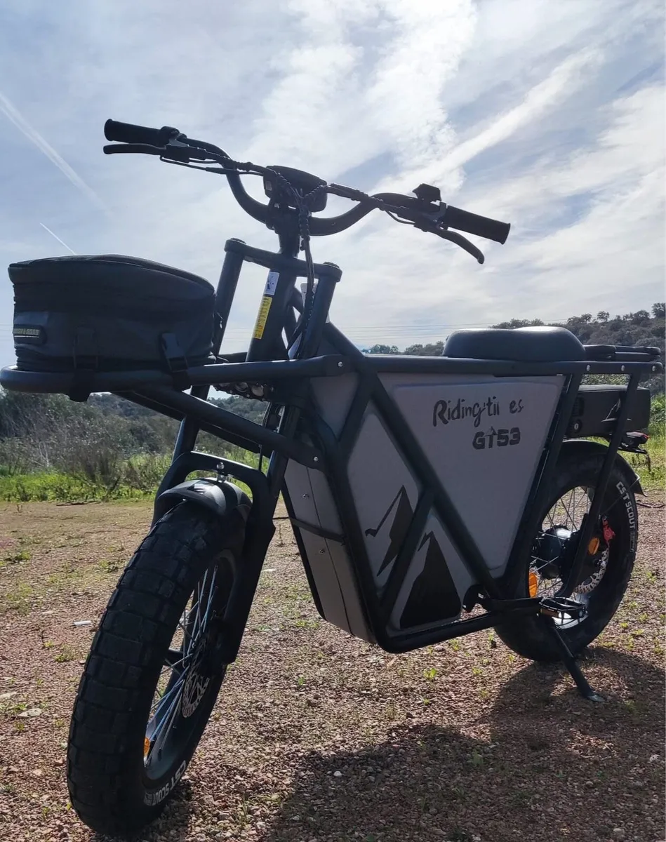 Electric Cargo bike - Image 3