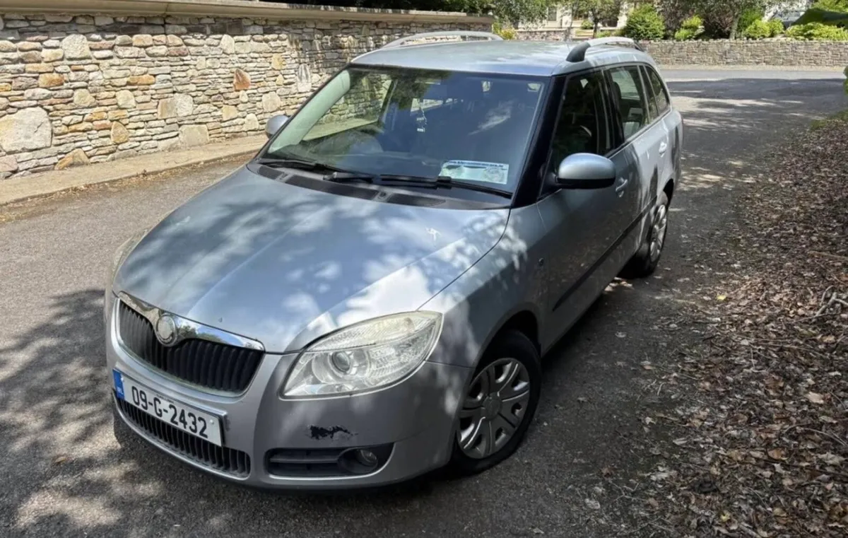 2009 Skoda Fabia 1.2 Petrol - Image 2