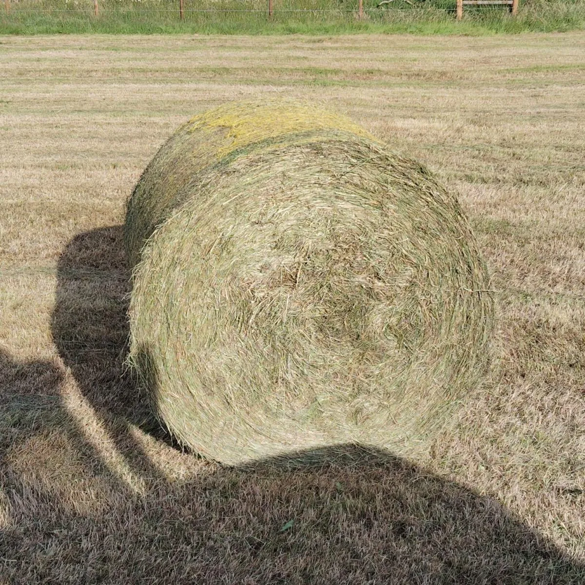 Haylage - Image 1
