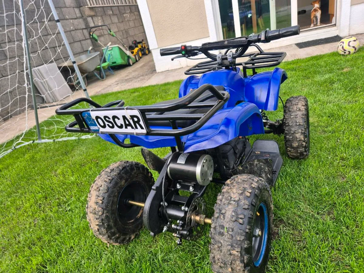 Electric quad - Image 3