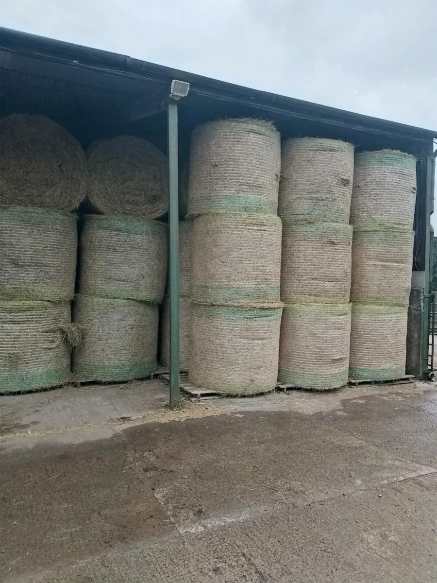 Hay for Sale