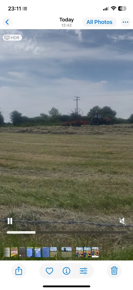 Hay - Image 1