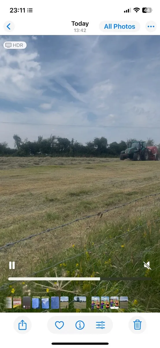 Hay - Image 2