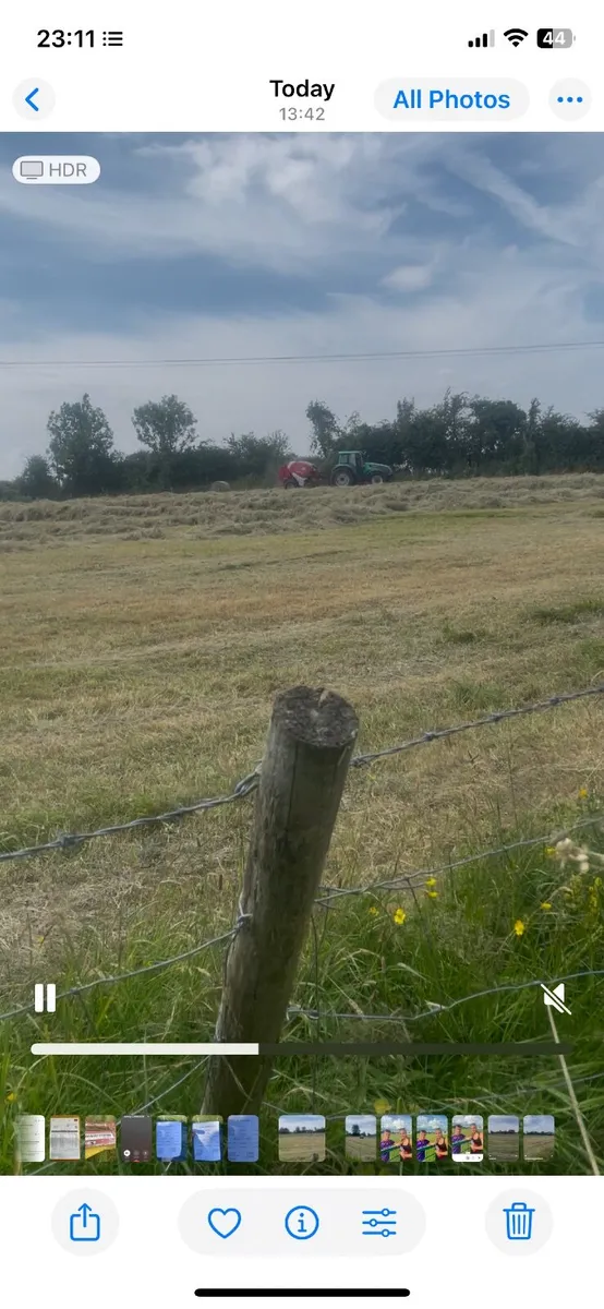 Hay - Image 3