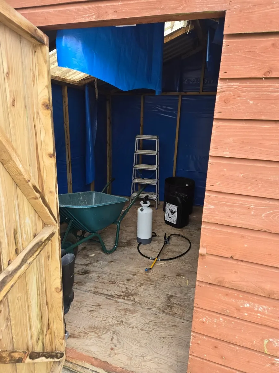 10ft x 10ft Wooden  Garden Shed - Image 2