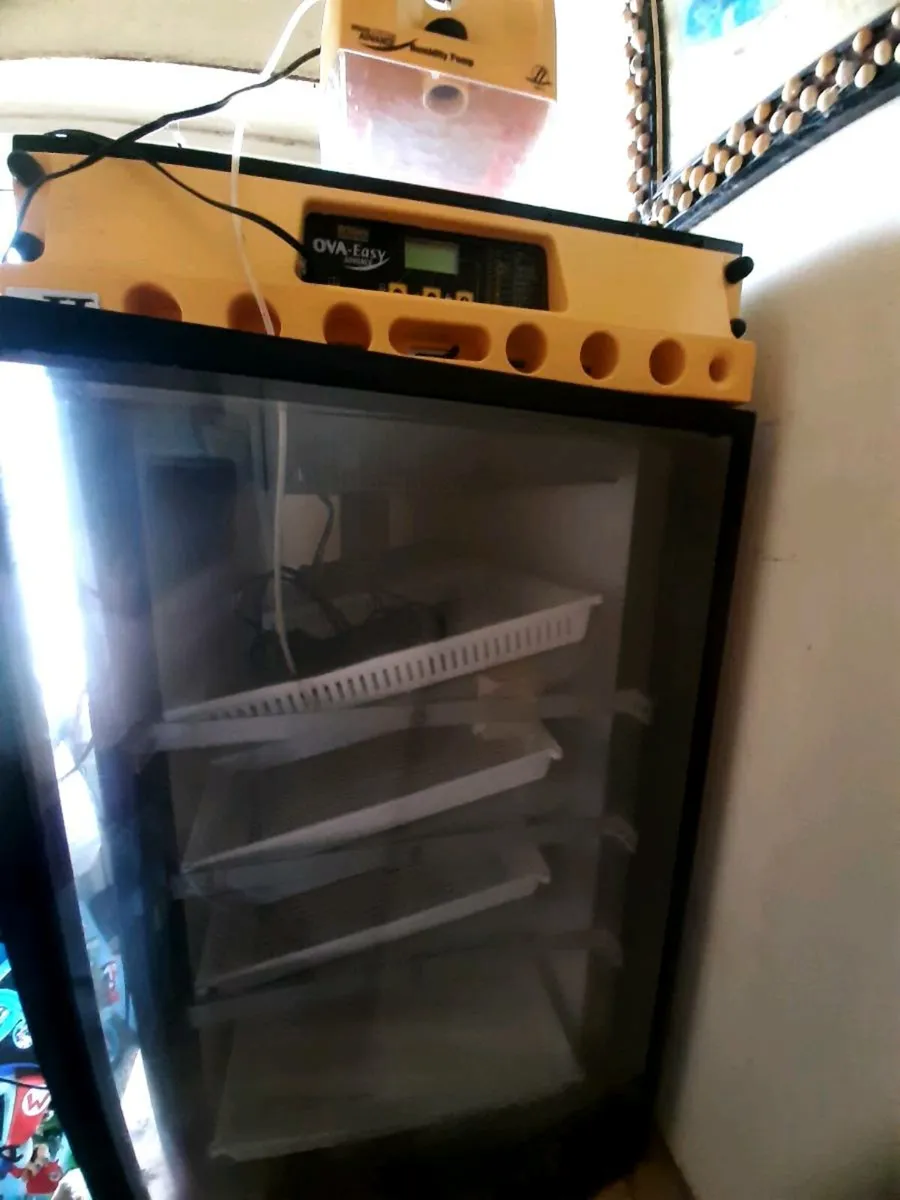 Brinsea 380 ova Automatic Incubator - Image 1
